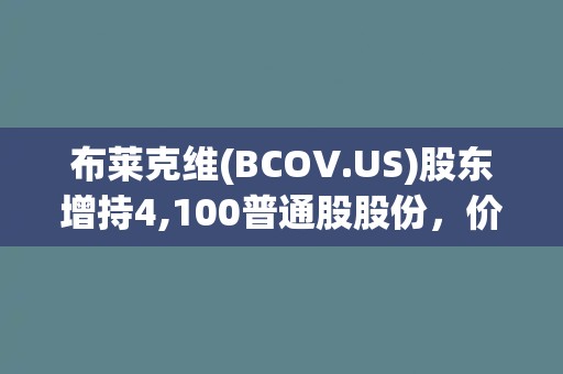 布莱克维(BCOV.US)股东增持4,100普通股股份，价值约1.51万美元