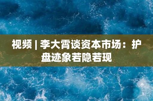 视频 | 李大霄谈资本市场：护盘迹象若隐若现