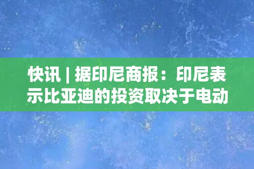 快讯 | 据印尼商报：印尼表示比亚迪的投资取决于电动汽车激励措施。