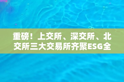 重磅！上交所、深交所、北交所三大交易所齐聚ESG全球领导者大会，热议ESG助力资本市场高质量发展