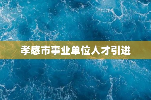 孝感市事业单位人才引进
