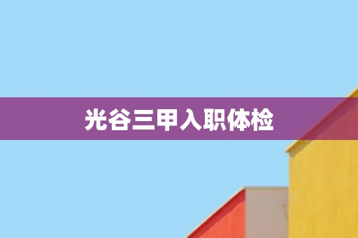 光谷三甲入职体检