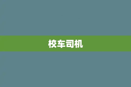 校车司机