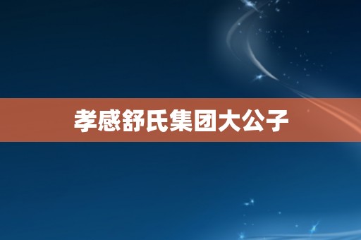 孝感舒氏集团大公子