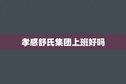 孝感舒氏集团上班好吗