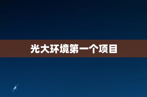 光大环境第一个项目