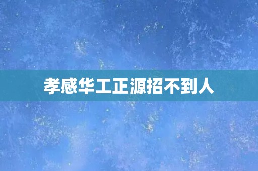 孝感华工正源招不到人
