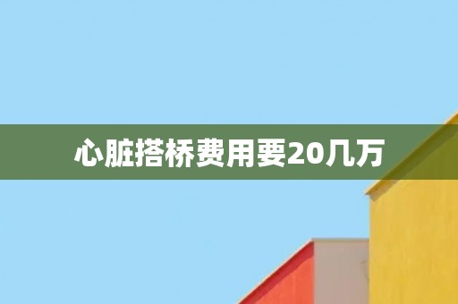 心脏搭桥费用要20几万 心脏搭桥费用要20几万