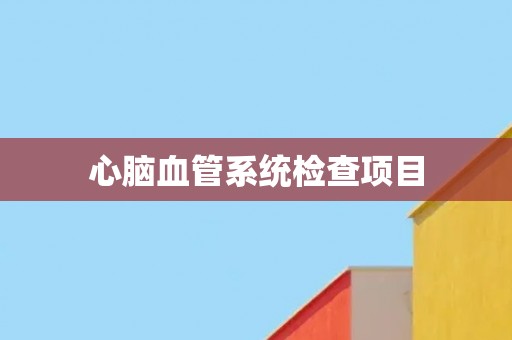心脑血管系统检查项目