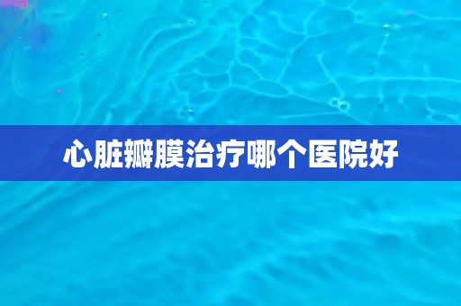 心脏瓣膜治疗哪个医院好