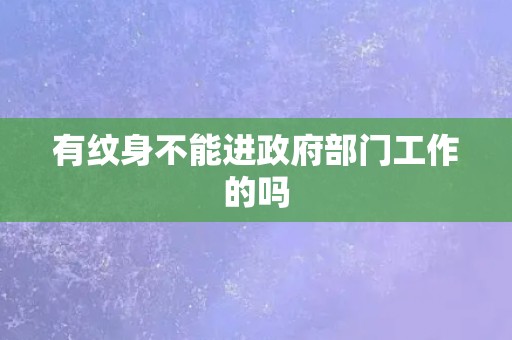 有纹身不能进政府部门工作的吗