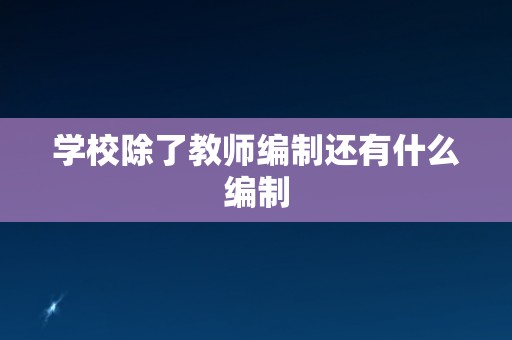 学校除了教师编制还有什么编制