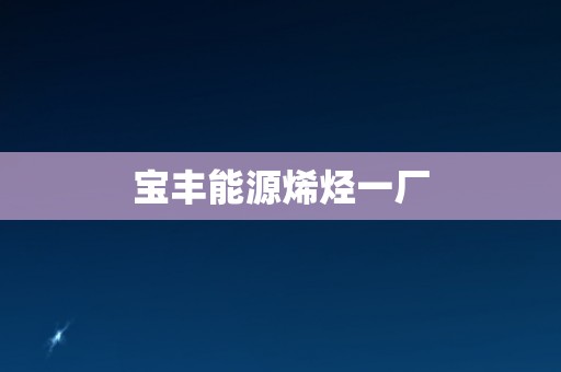 宝丰能源烯烃一厂