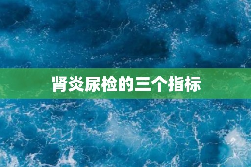 肾炎尿检的三个指标