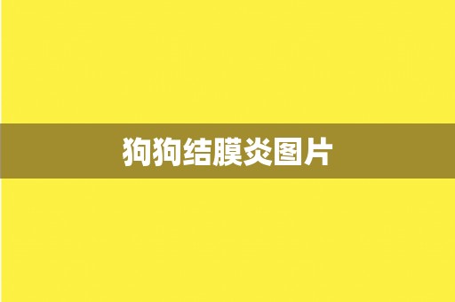 狗狗结膜炎图片
