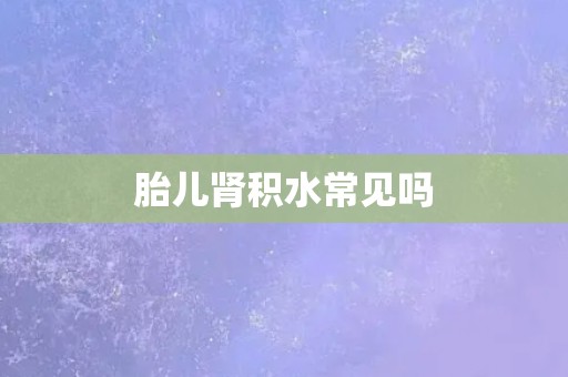 胎儿肾积水常见吗