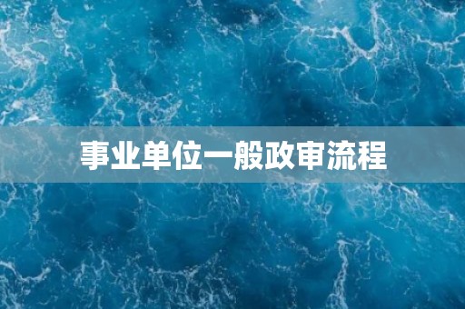 事业单位一般政审流程