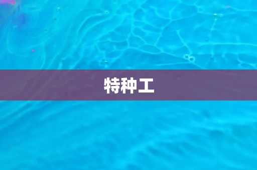 特种工