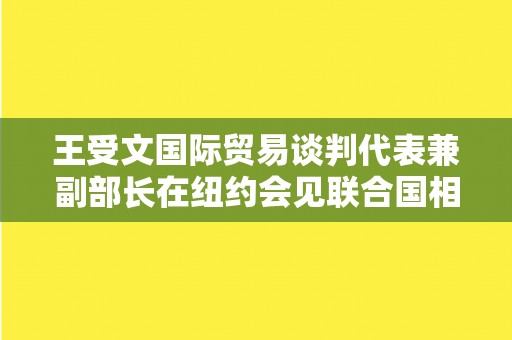 王受文国际贸易谈判代表兼副部长在纽约会见联合国相关发展机构负责人