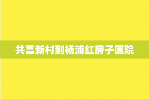 共富新村到杨浦红房子医院