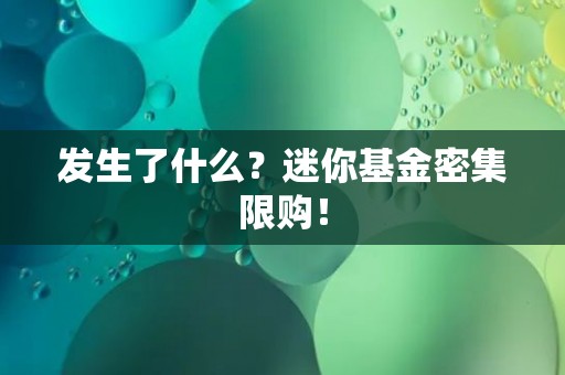 发生了什么？迷你基金密集限购！