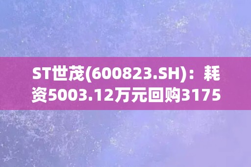 ST世茂(600823.SH)：耗资5003.12万元回购3175万股 回购期限已满