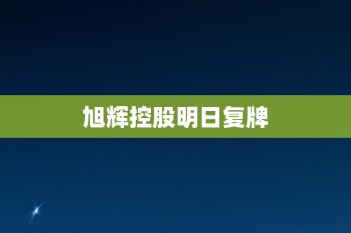 旭辉控股明日复牌