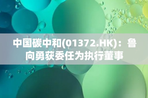 中国碳中和(01372.HK)：鲁向勇获委任为执行董事