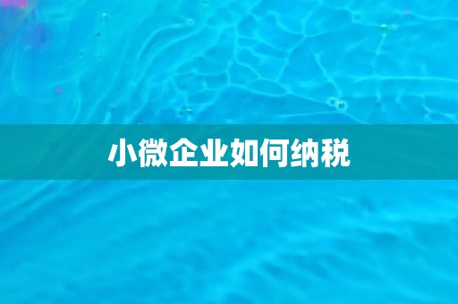 小微企业如何纳税