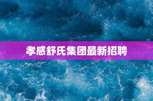 孝感舒氏集团最新招聘
