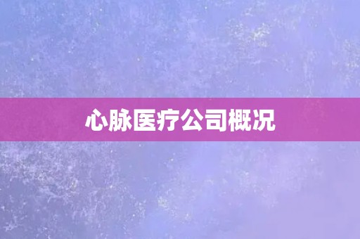 心脉医疗公司概况