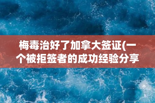 梅毒治好了加拿大签证(一个被拒签者的成功经验分享)