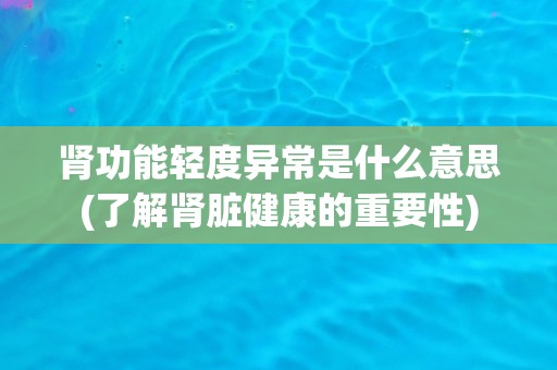 肾功能轻度异常是什么意思(了解肾脏健康的重要性)