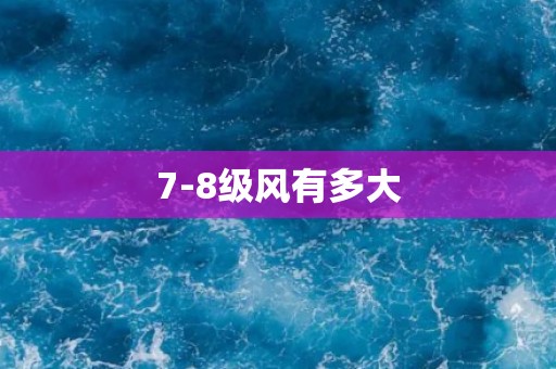 7-8级风有多大