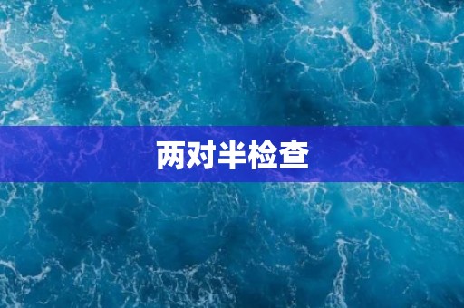 两对半检查 两对半检查