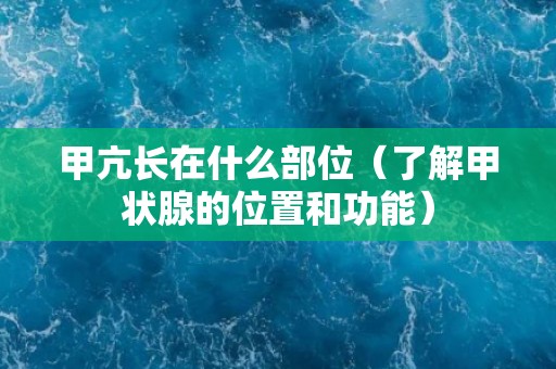 甲亢长在什么部位（了解甲状腺的位置和功能）