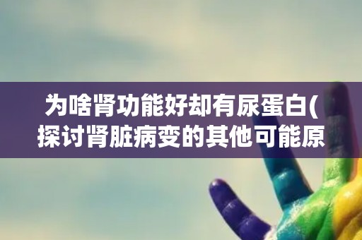 为啥肾功能好却有尿蛋白(探讨肾脏病变的其他可能原因)