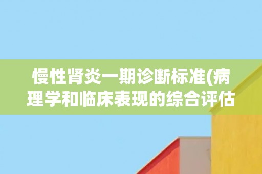 慢性肾炎一期诊断标准(病理学和临床表现的综合评估方法) 慢性肾炎一期诊断标准(病理学和临床表现的综合评估方法)