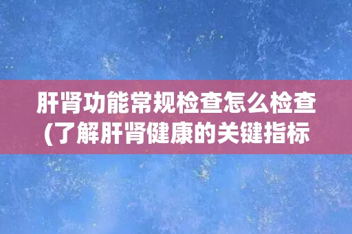 肝肾功能常规检查怎么检查(了解肝肾健康的关键指标和检查方法)