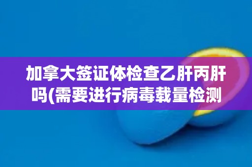 加拿大签证体检查乙肝丙肝吗(需要进行病毒载量检测) 加拿大签证体检查乙肝丙肝吗(需要进行病毒载量检测)