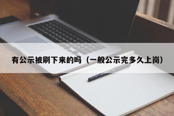 有公示被刷下来的吗(一般公示完多久上岗)