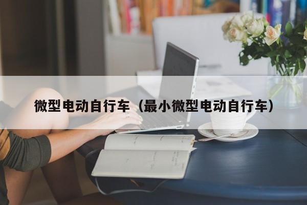 微型电动自行车（最小微型电动自行车）