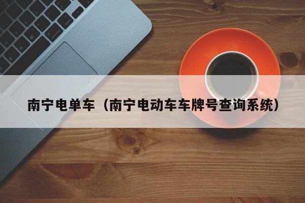 南宁电单车(南宁电动车车牌号查询系统)