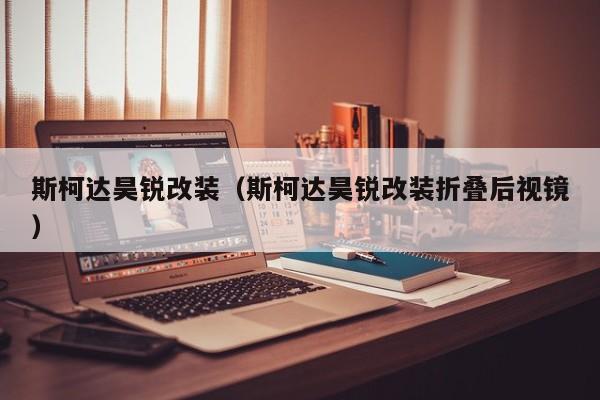 斯柯达昊锐改装(斯柯达昊锐改装折叠后视镜)
