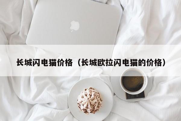 长城闪电猫价格(长城欧拉闪电猫的价格)