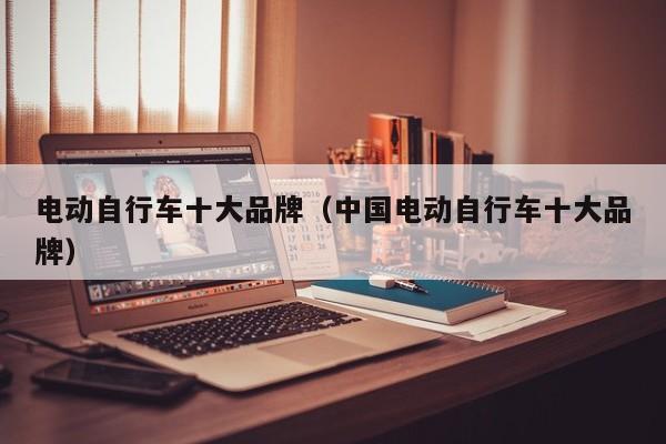 电动自行车十大品牌(中国电动自行车十大品牌)