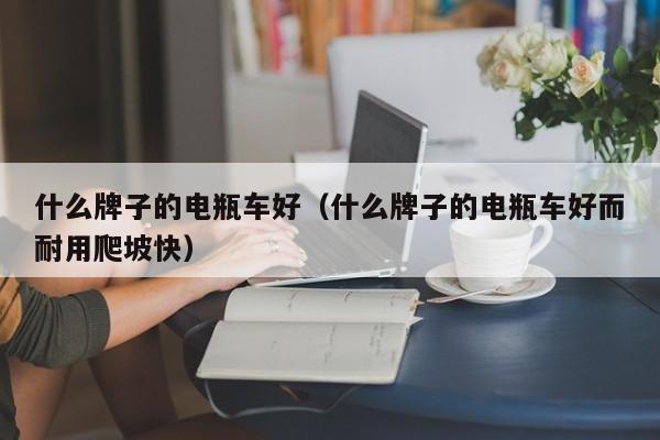 什么牌子的电瓶车好(什么牌子的电瓶车好而耐用爬坡快)