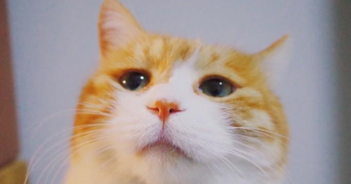 缩量三连阳,上涨乏力还是蓄势待涨?看星网锐捷18次回测数据